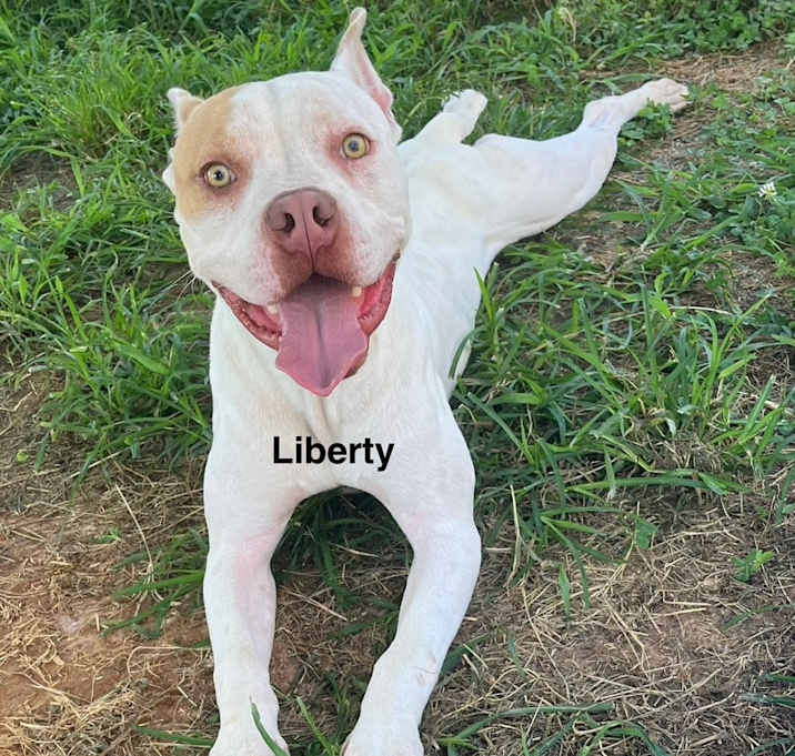 Photo of Liberty
