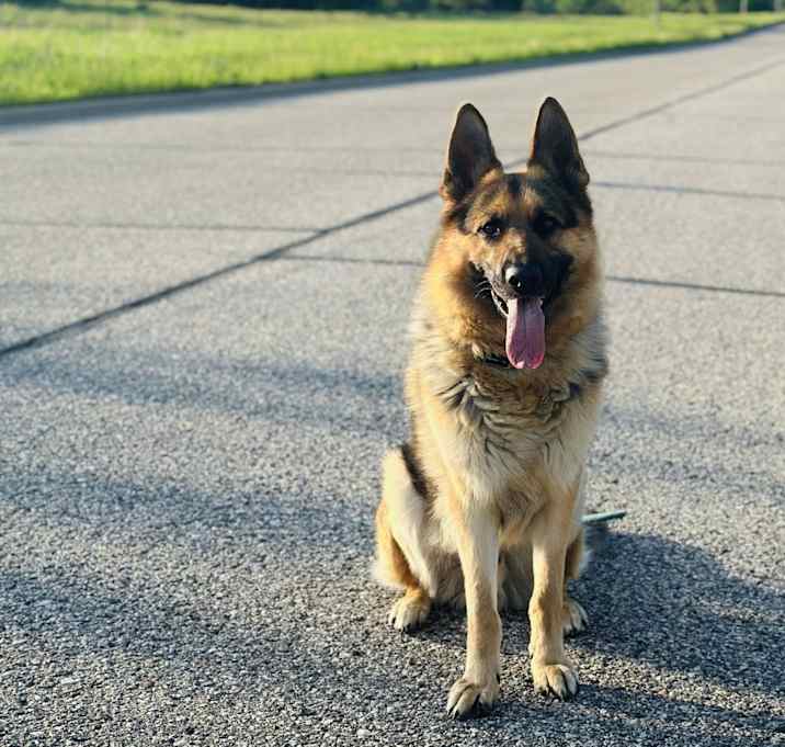 Photo of Coco