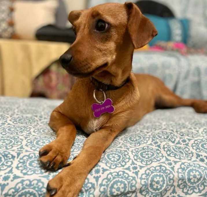 Photo of Lucinda (Lucy)