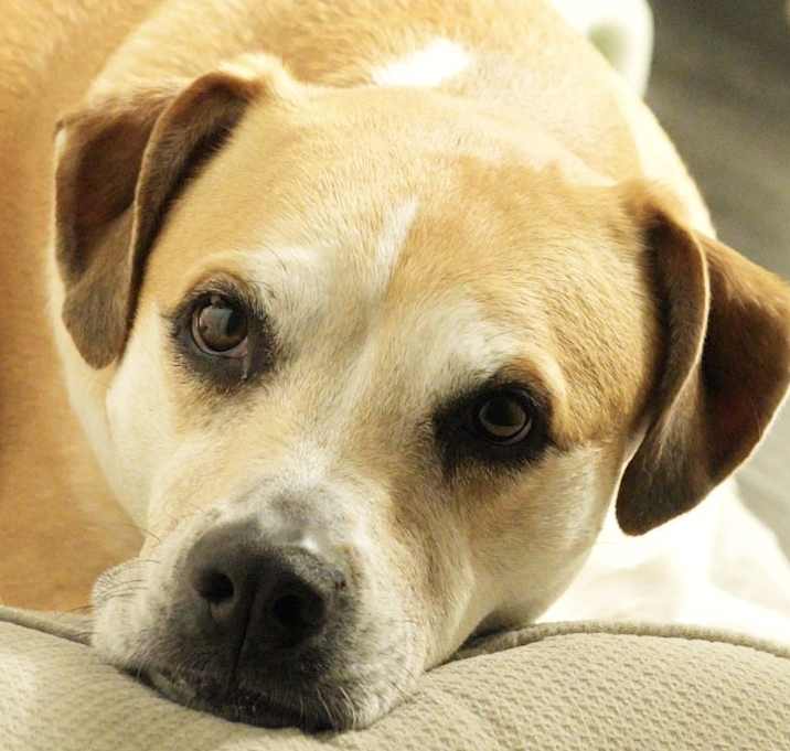 Photo of Bella