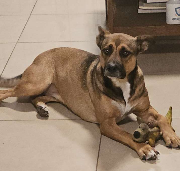 Photo of Pepperoni