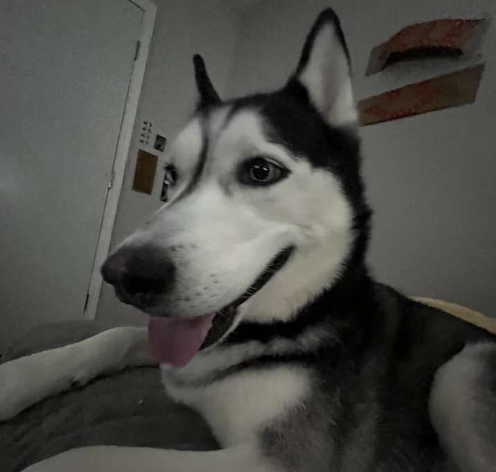 Photo of Ahkira