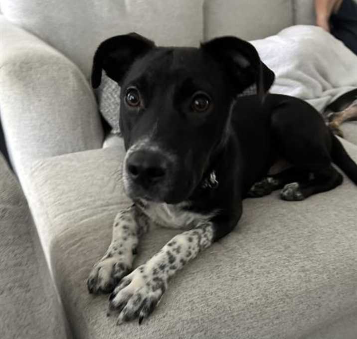 Photo of CALVIN