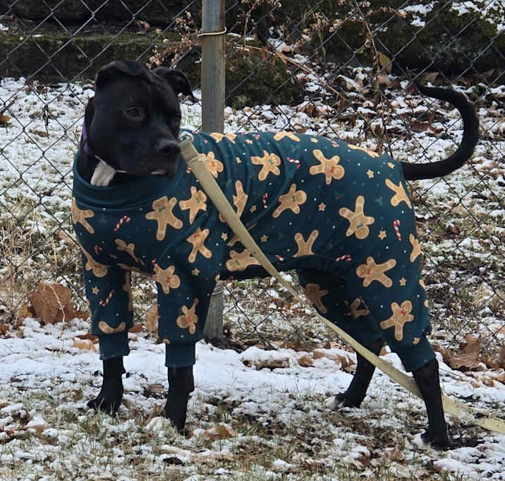 Photo of Sassy