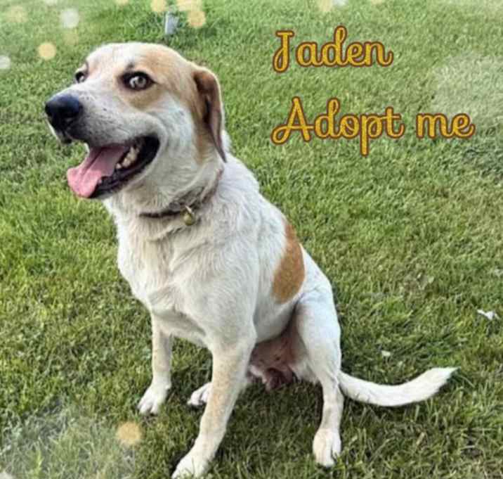 Photo of Jaden