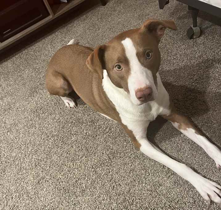 Photo of Bentley