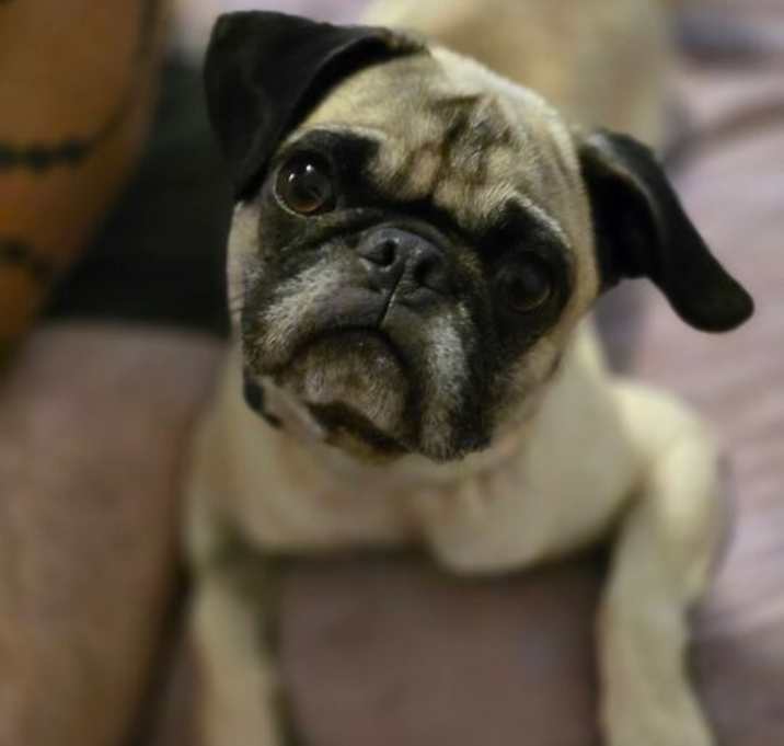 Photo of Theo
