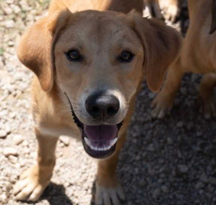 Photo of Fletcher
