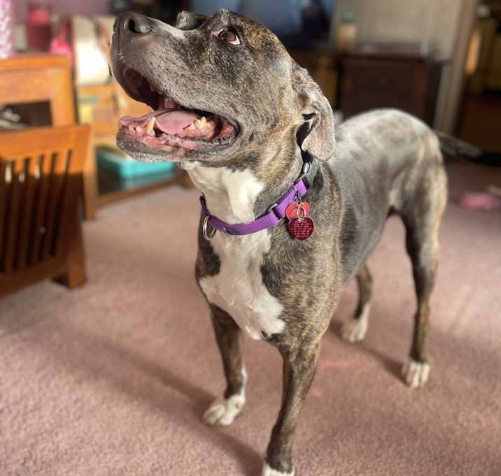 Photo of Riddick