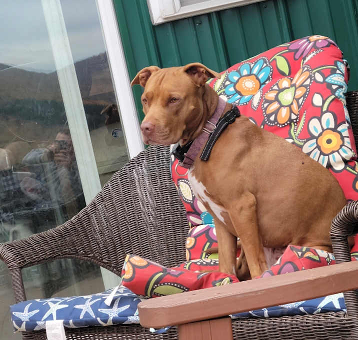 Photo of Ruby