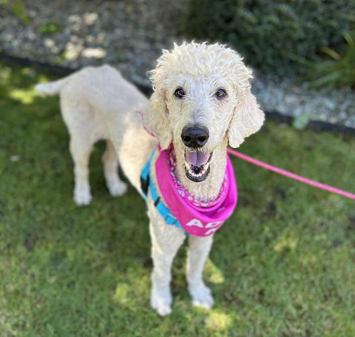 Photo of Sweetie