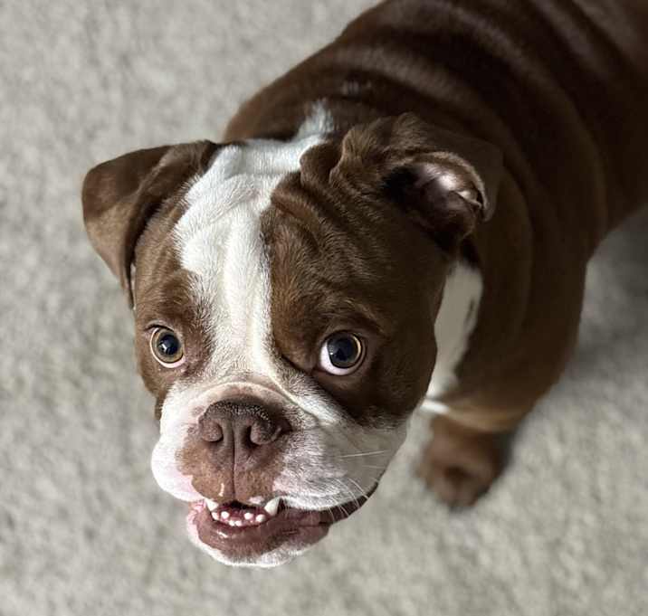 Photo of Bayou