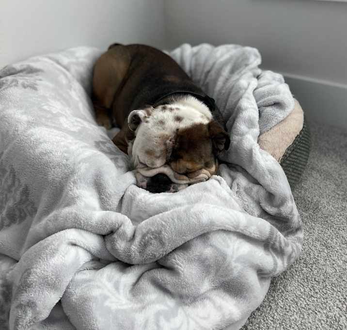 Photo of Major