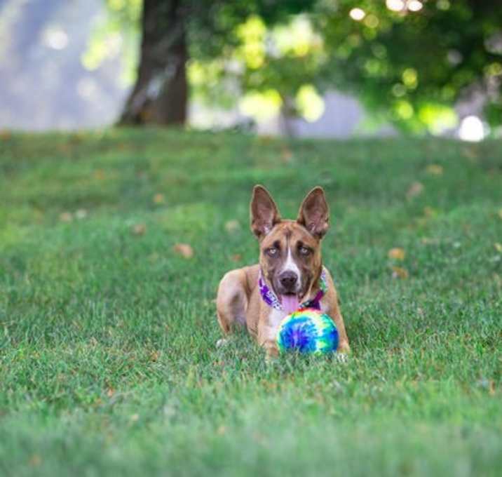 Photo of Wendy