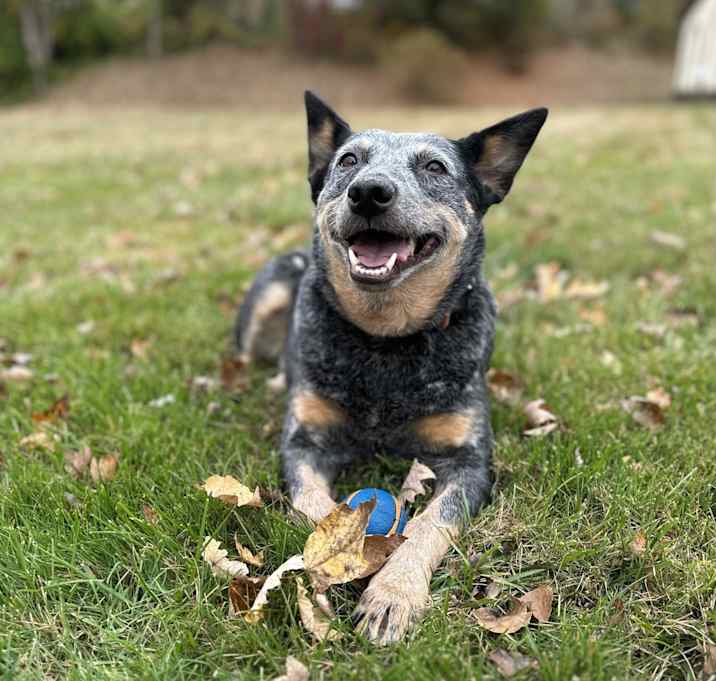 Photo of Ludy