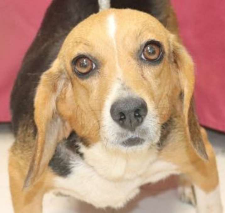 Photo of Amelia