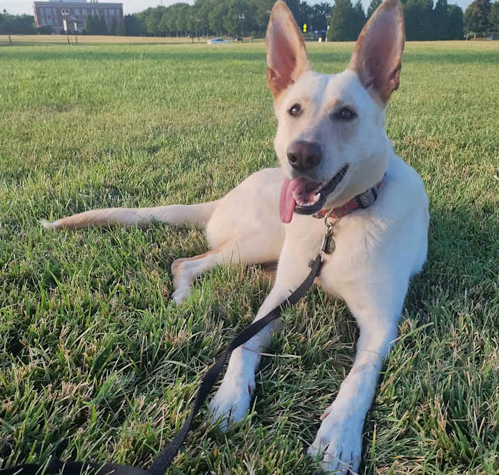 Photo of Reyna, your next adventure buddy