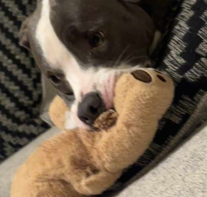 Photo of Zoey Anne