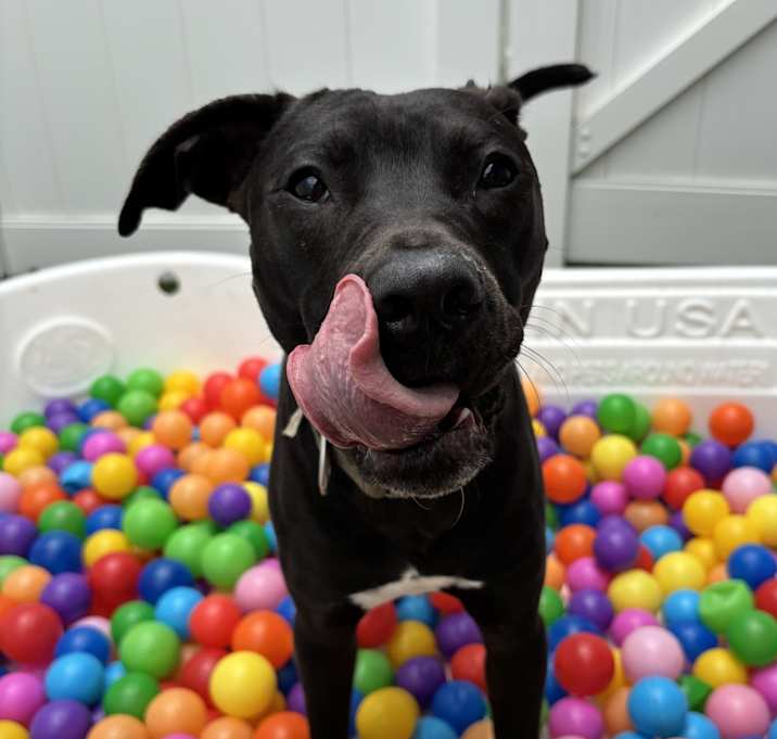 Photo of Buster
