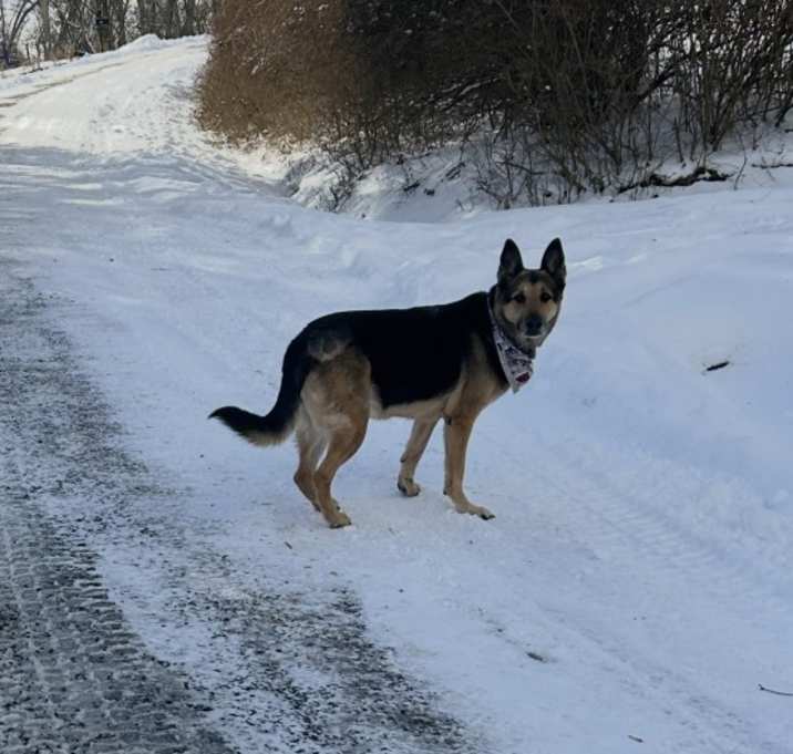 Photo of Marlo (Mar Mar)