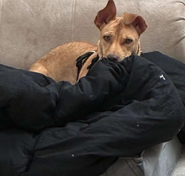 Photo of Athena