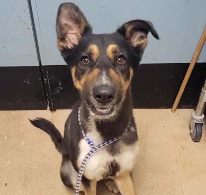 Photo of Slinky