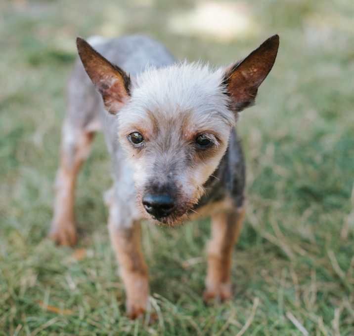 Photo of Tofu