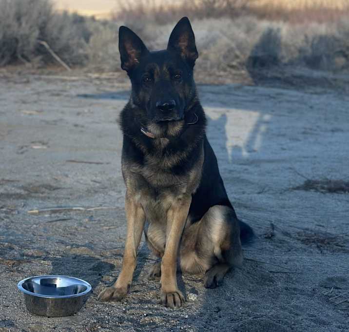 Photo of Keno