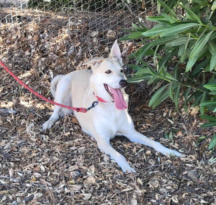 Photo of Harley