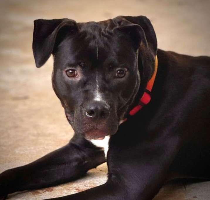 Photo of Willa
