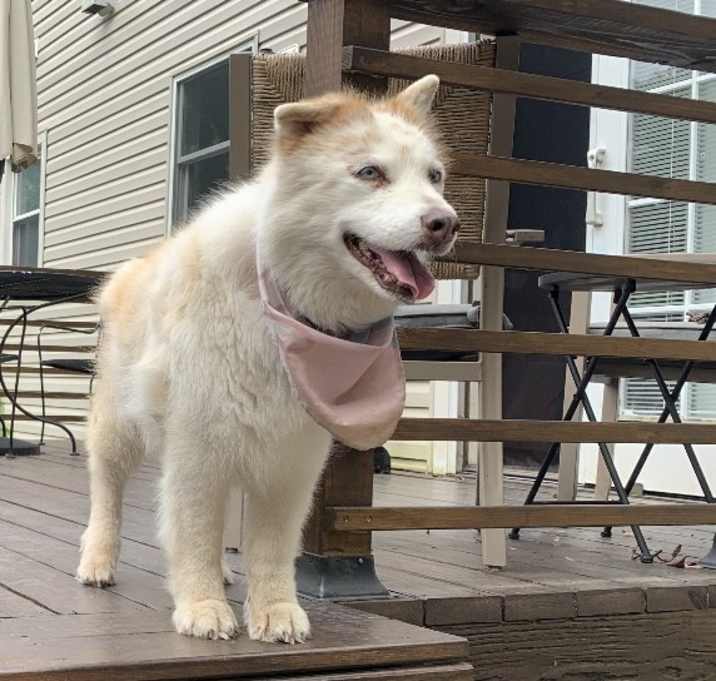 Photo of Penny