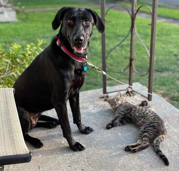 Photo of Remi