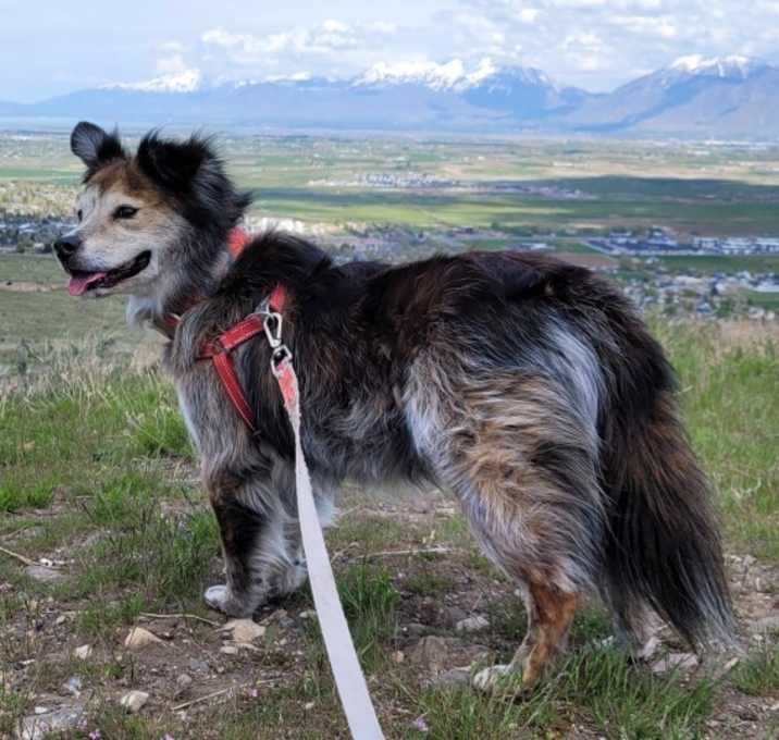 Photo of Jake