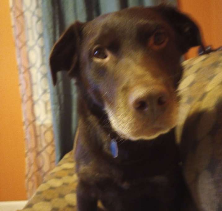 Photo of Duke