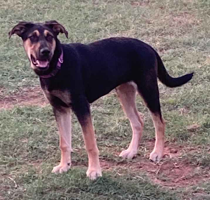 Photo of Luz