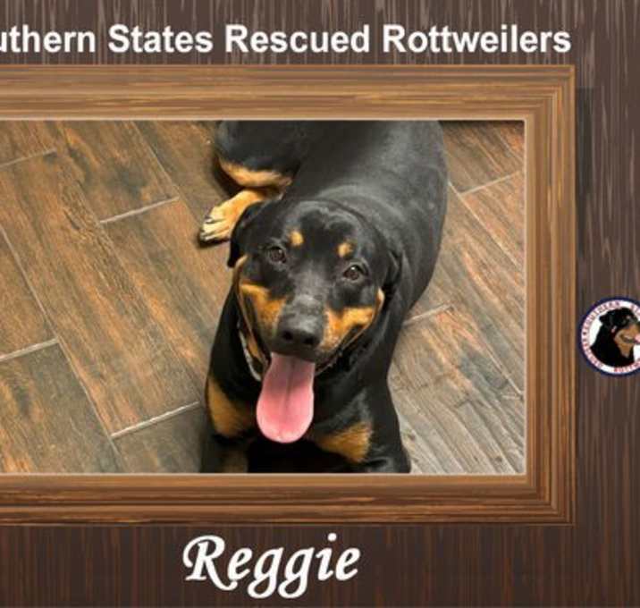 Photo of Reggie
