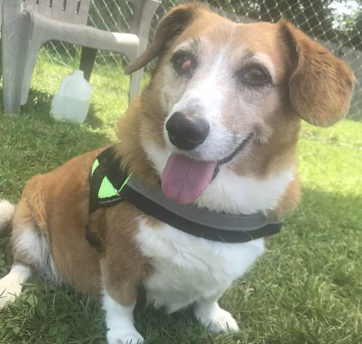 Photo of Zoey