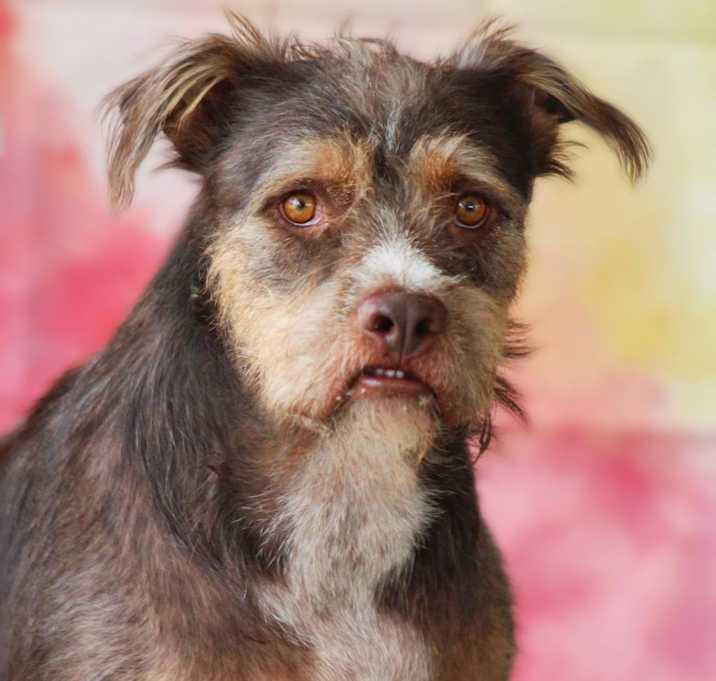 Photo of Buster JuM