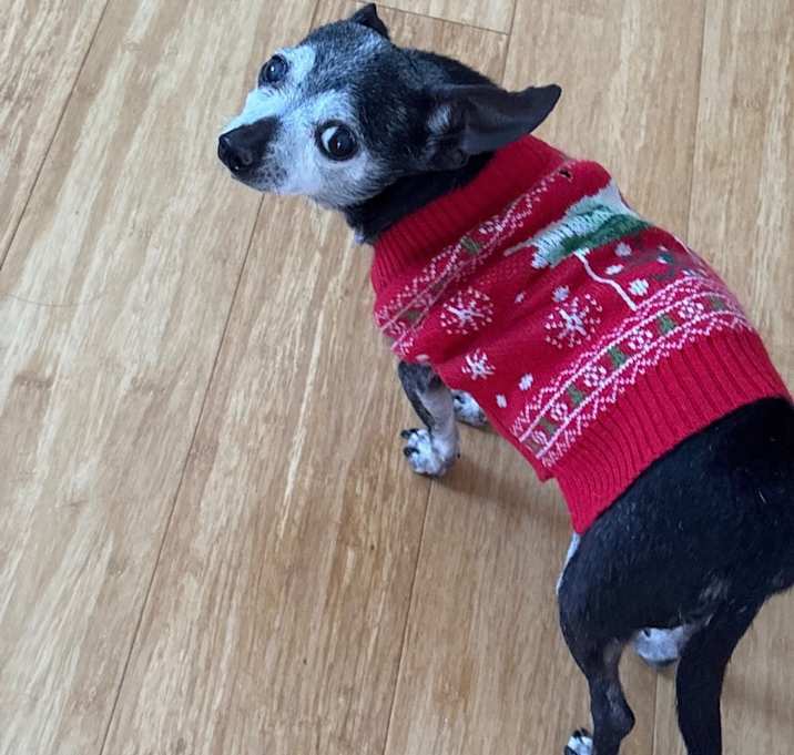 Photo of Oscar