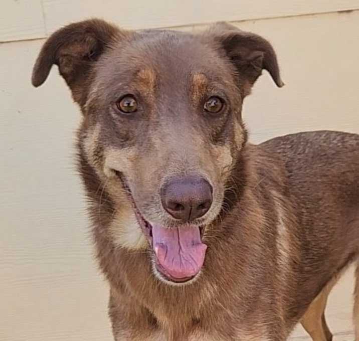 Photo of Penelope JW