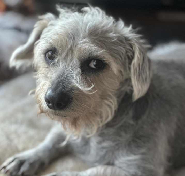 Photo of Benji Mason