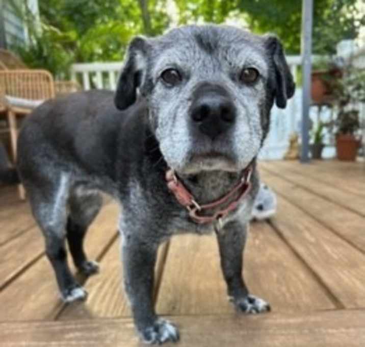 Photo of Winnie