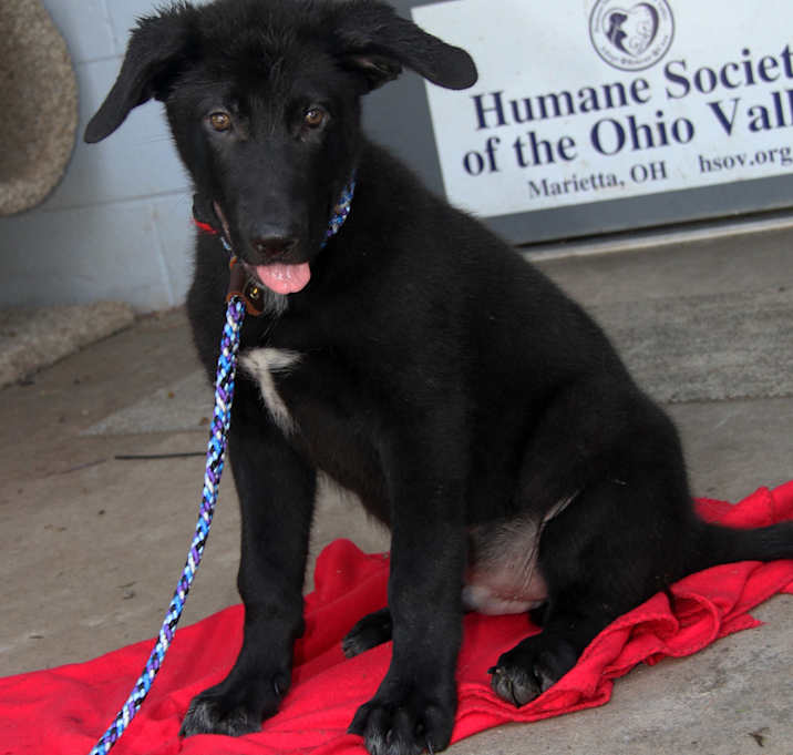 Photo of Tony Stark (Photos 7/27/2025)