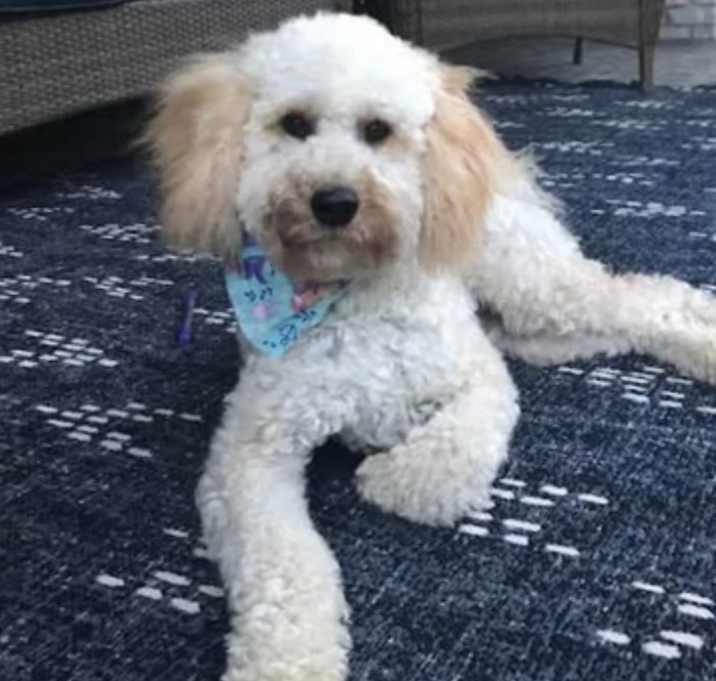 Photo of Finley