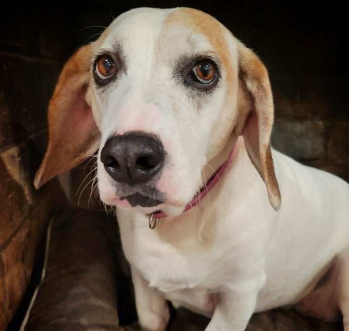 Photo of MAGGIE MOO