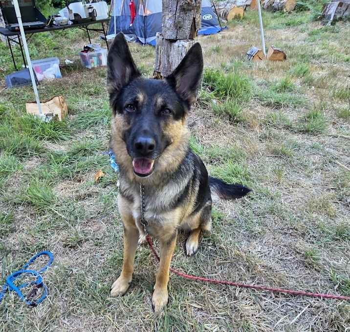 Photo of Moses "Moe"