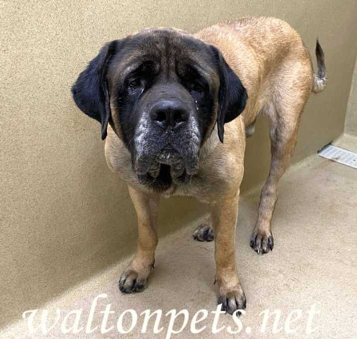 Photo of Sampson #20042