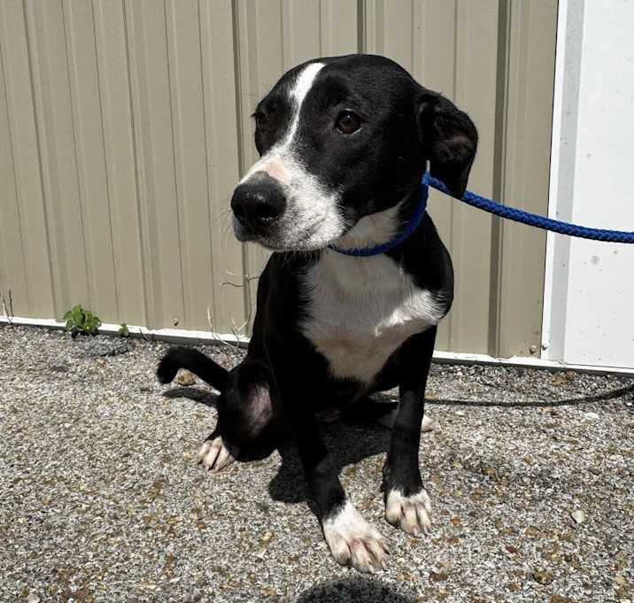 Photo of DAISY