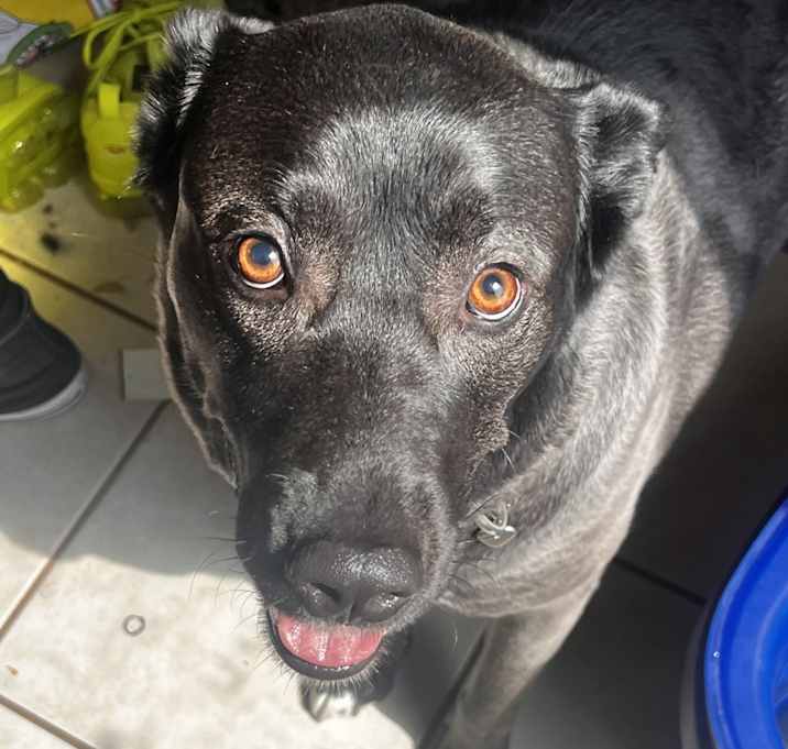 Photo of Angel