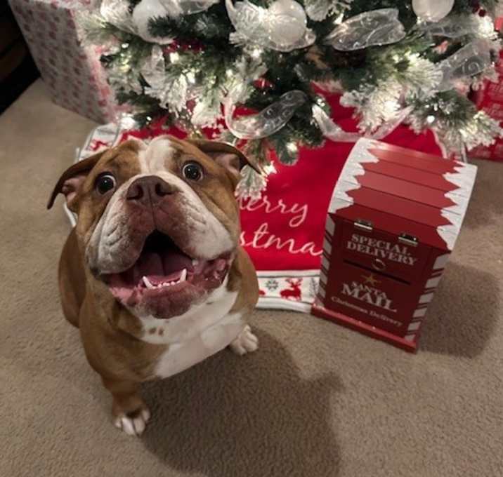 Photo of Zeus
